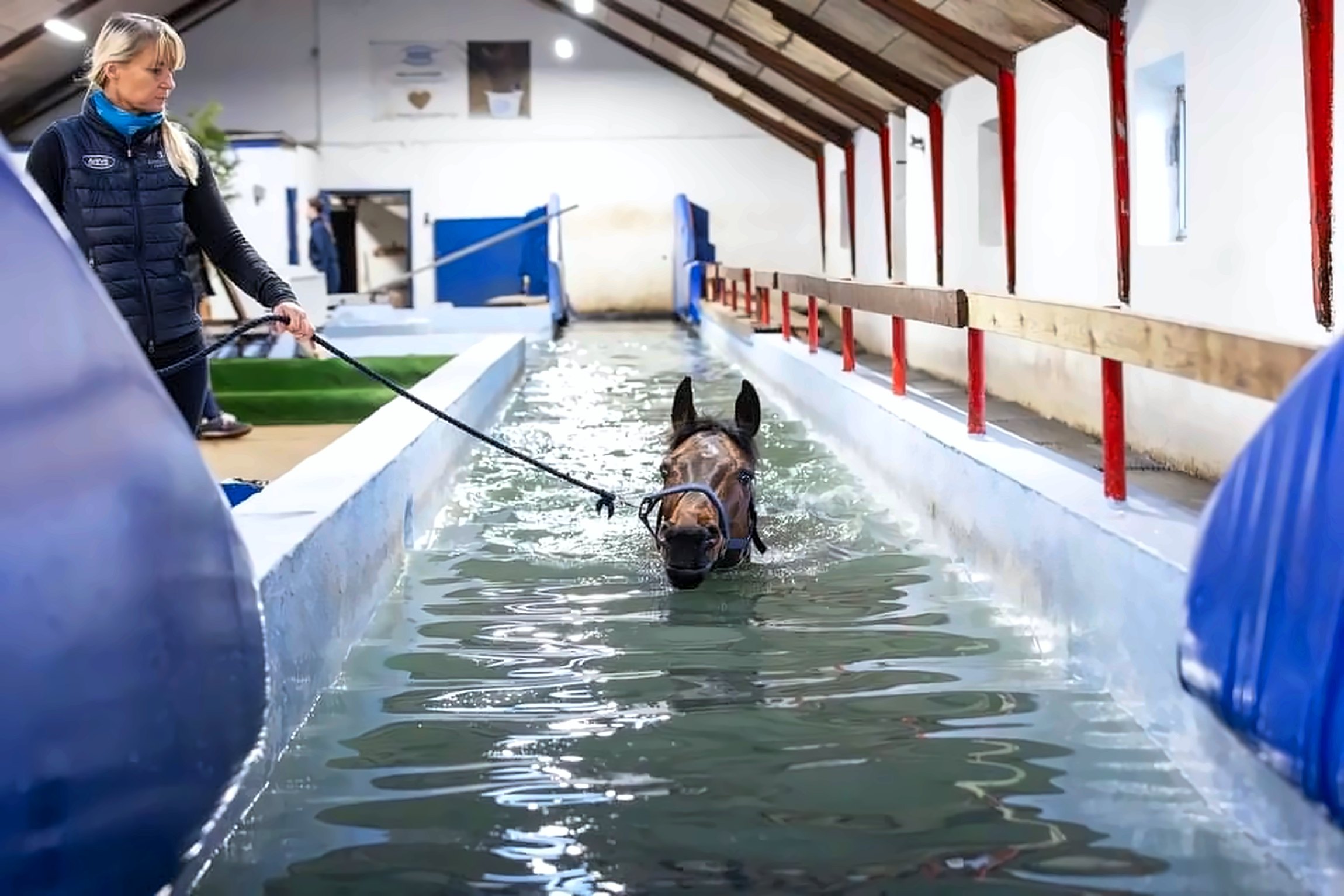 Camilla fører en hest gennem svømmebassinet hos Hammerthor Pool Center i Ikast