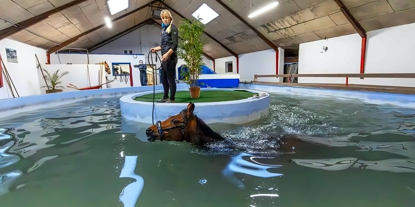 Hest svømmer i rundbassinet hos Hammerthor Pool Center med Camilla på midterøen